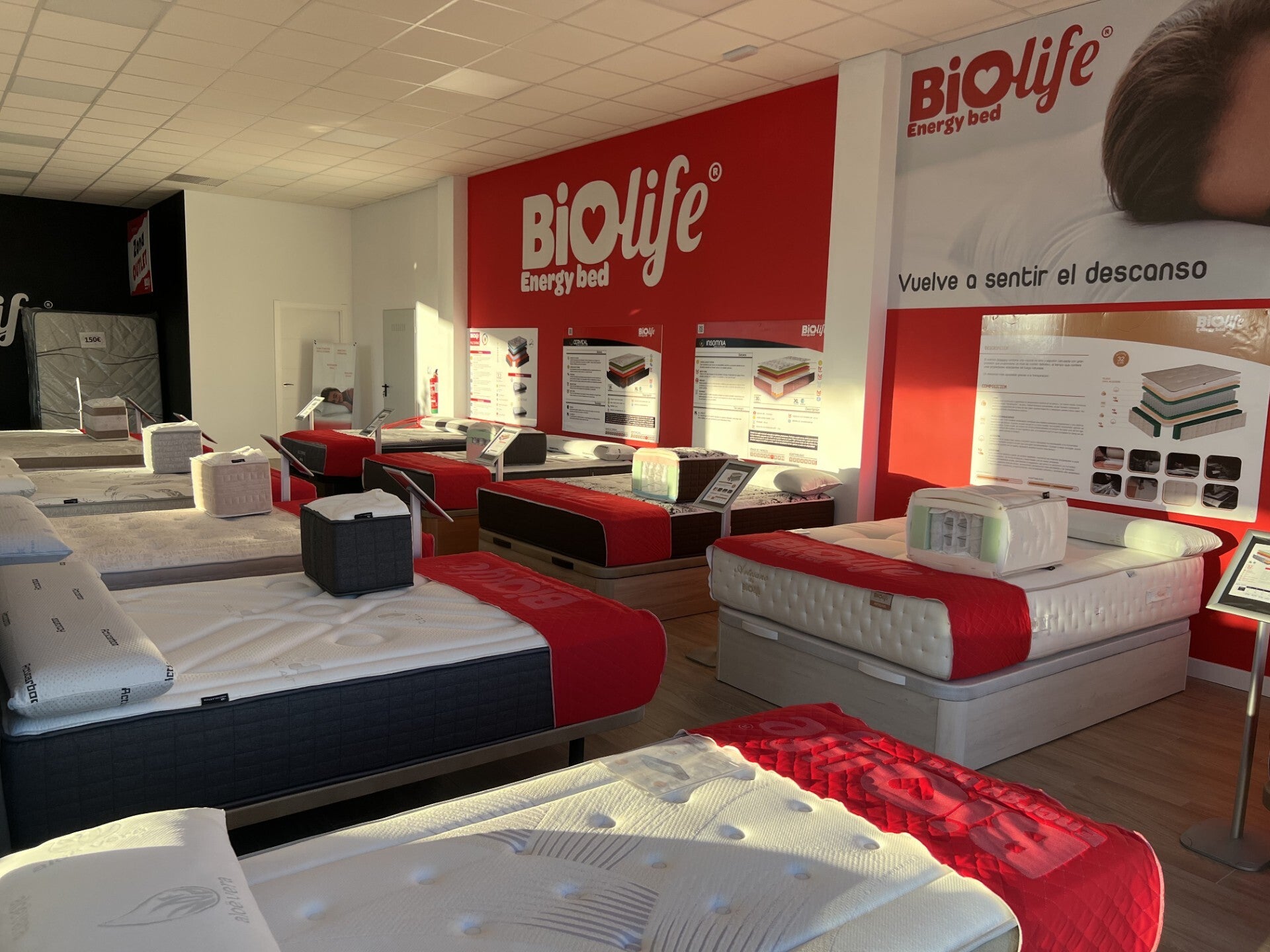 cliente-satisfecho-colchones-biolife-variedad-dureza-canape-base-moreno-repiso-dreamland-high
